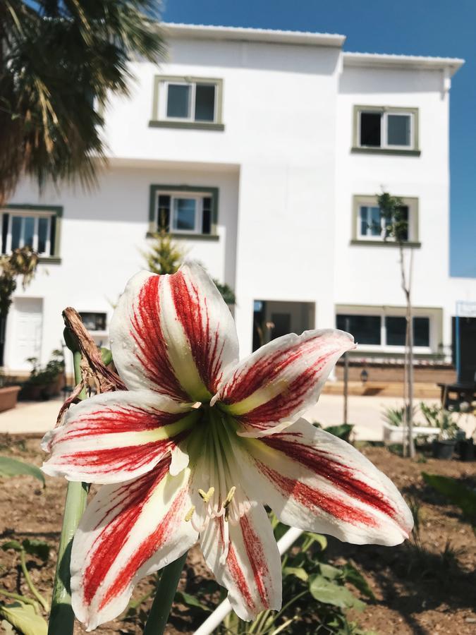 Sun Rays Hostel Kazaphani Εξωτερικό φωτογραφία